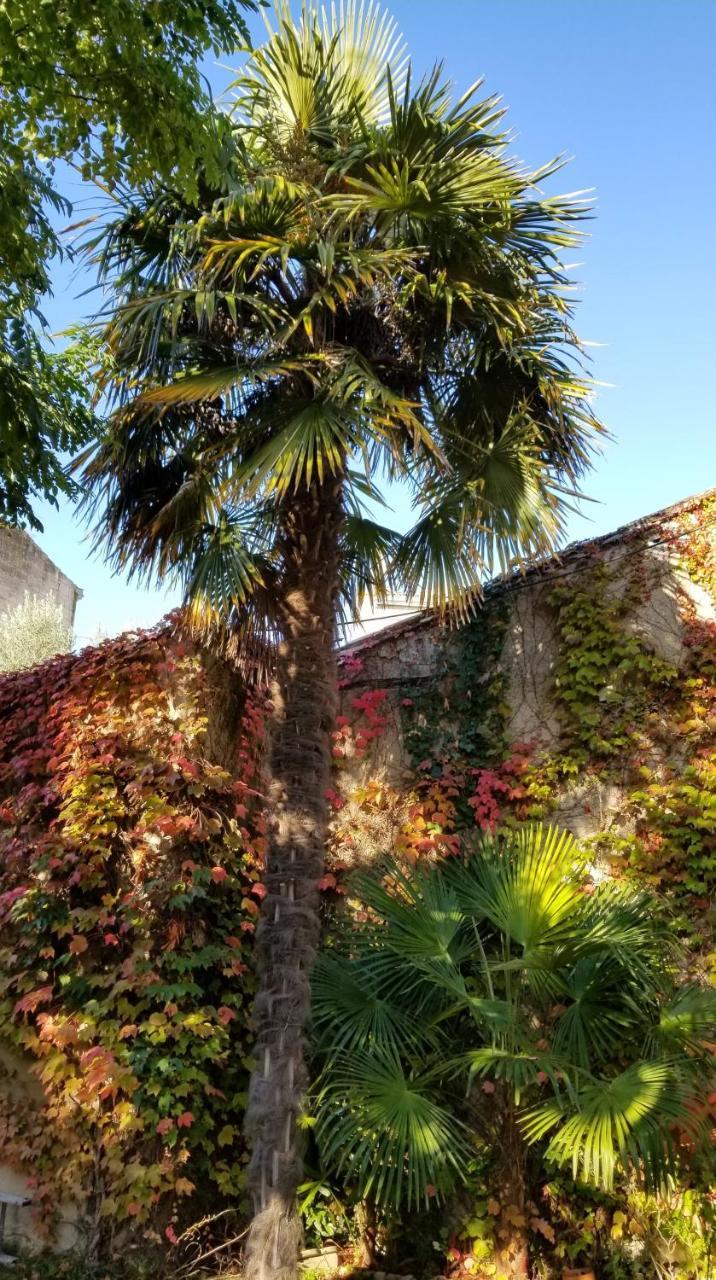 La Maison Blanche Blaye Exteriér fotografie